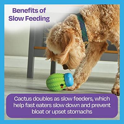 Brightkins cactus surprise treat dispenser