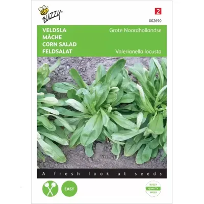 Zaden Veldsla Grote Noordhollandse Buzzy - Buzzy
