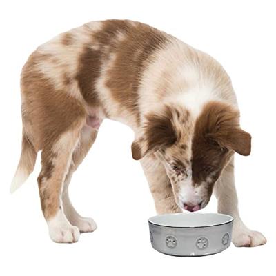 Trixie keramische kom met motief voor honden, 0.8 Litre, Multi kleuren