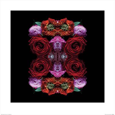 Kunstdruk Alyson Fennell - Paradise of Petals 60x60cm Kunstdruk Alyson Fennell - Paradise of Petals 60x60cm