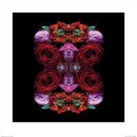 Kunstdruk Alyson Fennell - Paradise of Petals 60x60cm - thumbnail