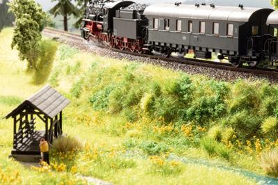 NOCH 07257 Bodembedekker Landschap bouw Rood