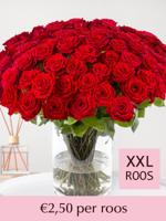 Rode rozen - XXL rozen 65 cm - 10 t/m 99 rozen - Red Naomi - thumbnail
