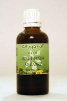 Natura Sanat Herniaria glabra herb / breukkruid tinctuur (500 ml) - thumbnail