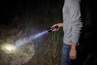 Coleman 2000033869 zaklantaarn Zaklamp Zwart LED - thumbnail