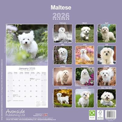 Maltezer Kalender 2026