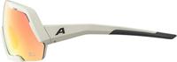 Alpina Rocket QV - Sports Glasses - thumbnail
