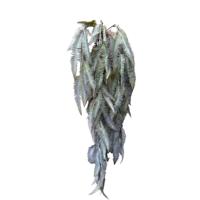 Roberts Collection Kunst hangplant varen bruin 110cm - thumbnail