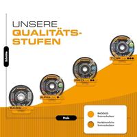 Rhodius 211575 Doorslijpschijfset 125 mm 25 stuk(s) RVS, Staal - thumbnail