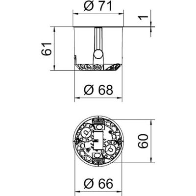 OBO Bettermann 2003804 Hollewand-apparaatverbindingsdoos (Ø x d) 68 mm x 61 mm 25 stuk(s)