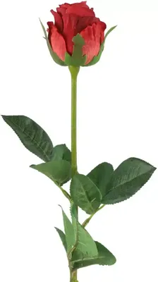 Countryfield kunsttak roos 70cm rood Countryfield kunsttak roos 70cm rood