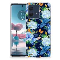 TPU Hoesje voor Motorola Edge 40 Neo IJsvogel - thumbnail