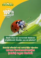 Larven lieveheersbeestje tegen bladluis 100 stuks ECOstyle - Ecostyle natuurlijke vijanden - thumbnail