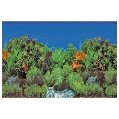 Deco Poster B2 60X49 Cm aquaria Superfish - Superfish Deco Poster B2 60X49 Cm aquaria Superfish - Superfish