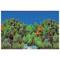 Deco Poster B2 60X49 Cm aquaria Superfish - Superfish - thumbnail