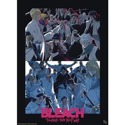 Poster Bleach - TYBW Shinigami vs Quincy 38x52cm