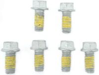 TRW bouten-set screw set 6pcs. m6x1 - thumbnail