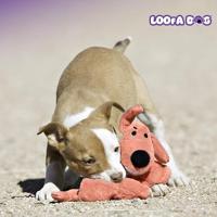 MULTIPET LOOFA DOG ASSORTI - thumbnail