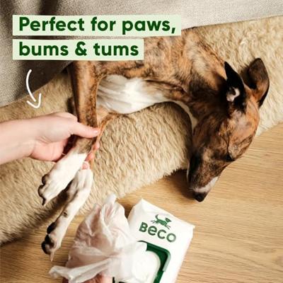 Beco Bamboo Dog Wipes hypoallergene doekjes hond (80 stuks) Geurloos Beco Bamboo Dog Wipes hypoallergene doekjes hond (80 stuks) Geurloos