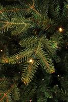 Frasier Kerstboom inclusief led d124 x h185cm - thumbnail