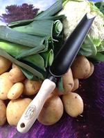 De Wit Onkruidschepje essen handvat 140mm t - thumbnail