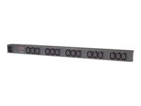 APC Basic Rack PDU AP9572 - thumbnail