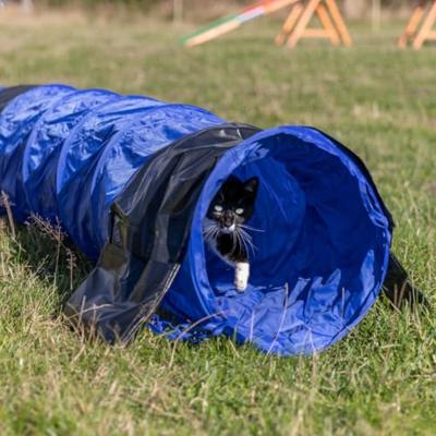 TRIXIE DOG ACTIVITY AGILITY TUNNEL BLAUW 40 CMX2 MTR - thumbnail
