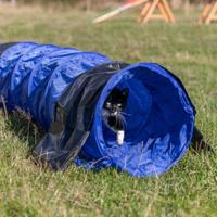 TRIXIE DOG ACTIVITY AGILITY TUNNEL BLAUW 40 CMX2 MTR - thumbnail
