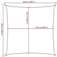 VidaXL Zonnezeil 160 g/m² vierkant 2,5x2,5 m hdpe lichtgrijs - thumbnail