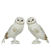 Uil pes l11b21h21 cm wit/goud a2 KSD - Ksd - thumbnail