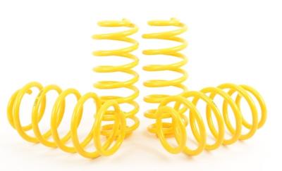 ST Suspensions verlagingsveren 28265008