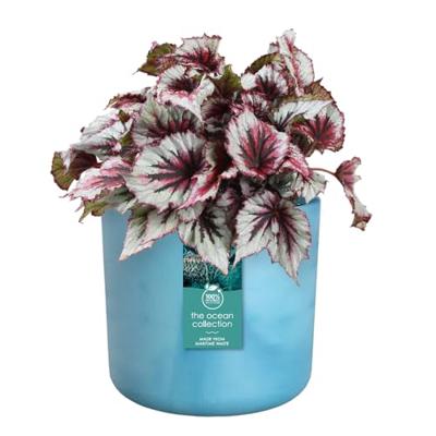 The ocean collection round 16cm atlantisch blauw elho - Elho