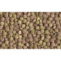 Plantastart 12 tabletten Vis Gebr. de Boon Tetra - Tetra - thumbnail