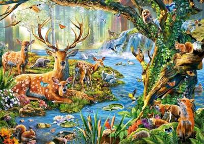 Castorland legpuzzel forest life, 500st. Castorland legpuzzel forest life, 500st.