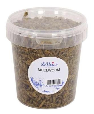 DE VRIES MEELWORM BLACK SOLDIER FLY