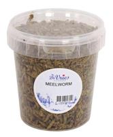 DE VRIES MEELWORM BLACK SOLDIER FLY - thumbnail