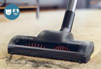 Philips FC9334/09 PowerPro Compact Stofzuiger 900W Zwart/Blauw/Groen/Grijs - thumbnail