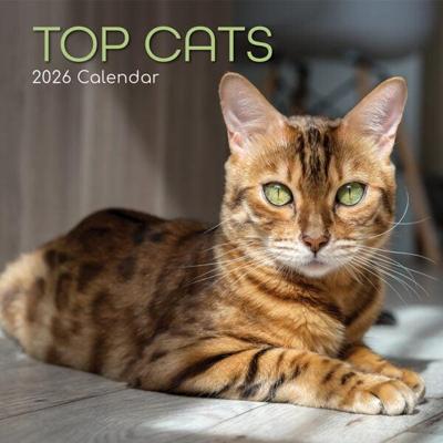 Top Cats Kalender 2026