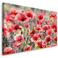 Schilderij - Veld met Klaprozen , Wanddecoratie , Premium print - thumbnail