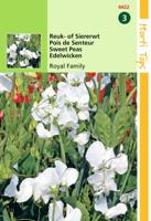 Zaden Lathyrus Reuk- of Siererwt Royal Family Wit Hortitops - Hortitops - thumbnail