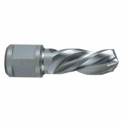 Holle boor RUKO 10 mm Weldon Holle boor RUKO 10 mm Weldon
