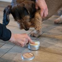 joveg potenzalf WONDer-verzorging, 80 g - thumbnail