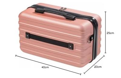 Cabin Max Anode - 30L - EasyJet Trolley - 45x35x20 cm - Rose Gold