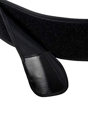 Amplifi Reactor Pack Rugbeschermer