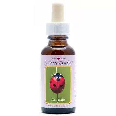 Animal Essences Ladybug (lieveheersbeestje) 30 Milliliter Animal Essences Ladybug (lieveheersbeestje) 30 Milliliter
