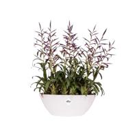 Elho bloempot Brussels ovaal 36cm wit - thumbnail