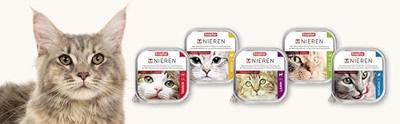 BEAPHAR NIERDIEET KAT MULTIPACK 6X100 GR