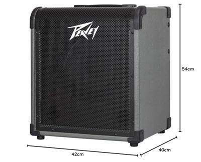 Peavey MAX 100 1 x 10 inch basgitaarversterker Peavey MAX 100 1 x 10 inch basgitaarversterker