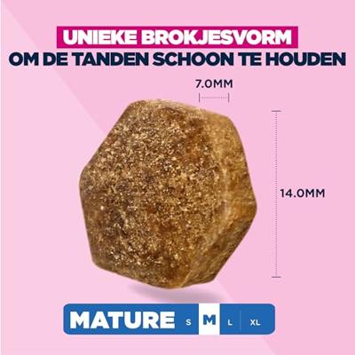Eukanuba Hondenvoer Droog met verse kip voor middelgrote rassen, premium droogvoer voor wat oudere honden, 3 kg