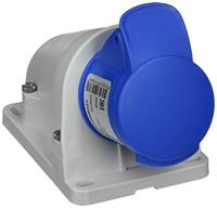 Schneider Electric PKY16W423 PKY16W423 CEE-wandcontactdoos 16 A 250 V 1 stuk(s) - thumbnail